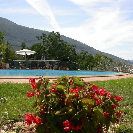 Agriturismo I Mandorli Треві Екстер'єр фото