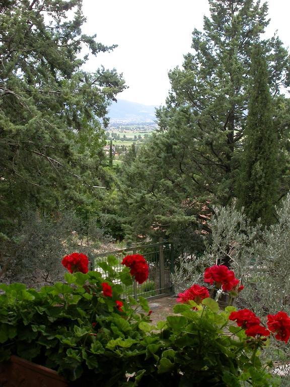 Agriturismo I Mandorli Треві Екстер'єр фото